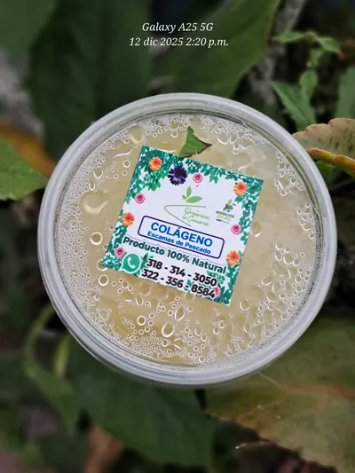 Colágeno (escamas de pescado)